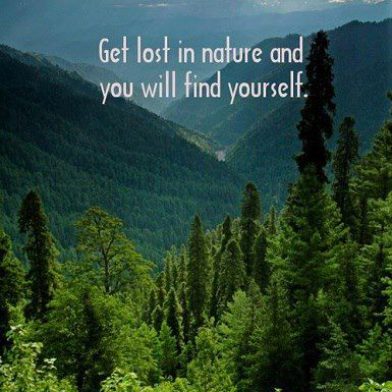 Let Nature Heal You